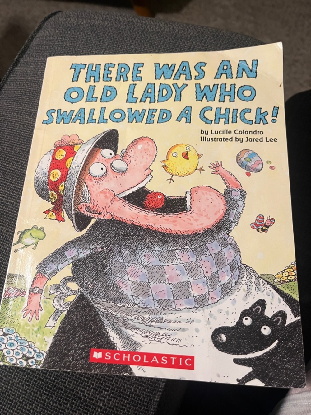 Scholastic Illustrated Picture Book — old woman who swallowed a chick